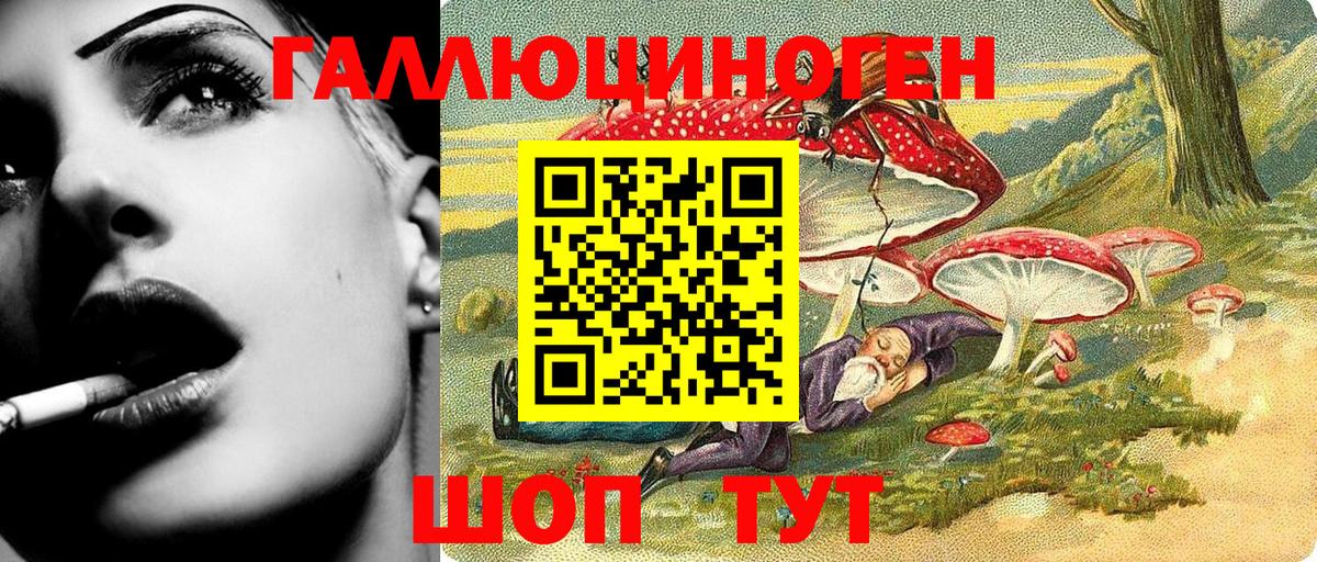 Псилоцибиновые грибы Psilocybe Лосино-Петровский