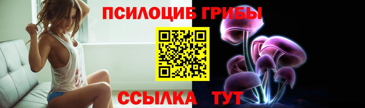 Псилоцибиновые грибы Psilocybine cubensis  где можно купить   Вход с VPN  Лосино-Петровский  Псилоцибиновые грибы Cubensis 